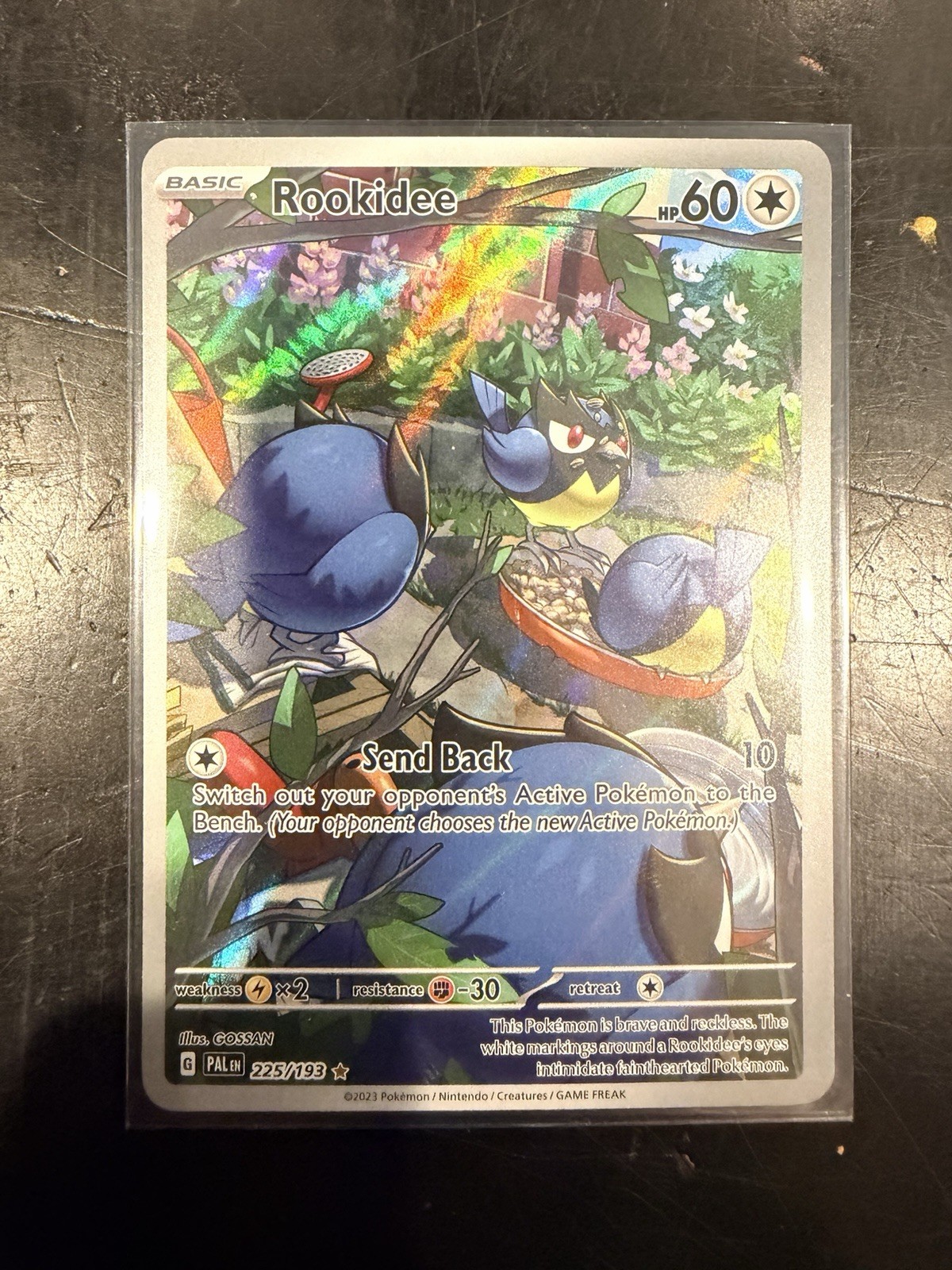Rookidee Pokemon Paldea Evolved Full Art Illustration Card 225/193