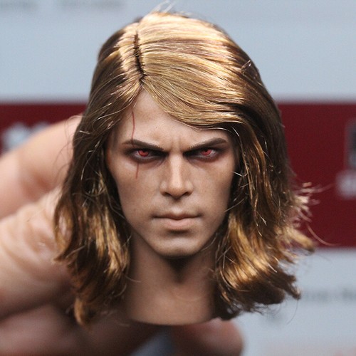 1/6 Scale Anakin Skywalker Enchanted Plant Hair Head Carving Fit 12'' Figure Bod - Picture 2 of 14