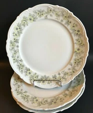 MITTERTEICH BAVARIA ~ MARI ~ 10 3/4" DINNER PLATE ~ 1 or All ~ GERMANY~ 1+ SHIP