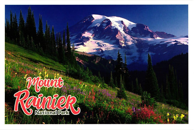 Continental Postcard Mount Rainier National Park Washington