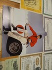 Bild 17 von 23