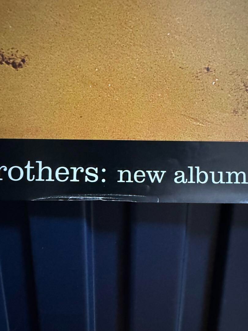 ケミカルブラザーズ プロモーションポスター The Chemical Brothers ポスター (73cm×102cm) The Chemical Brothers