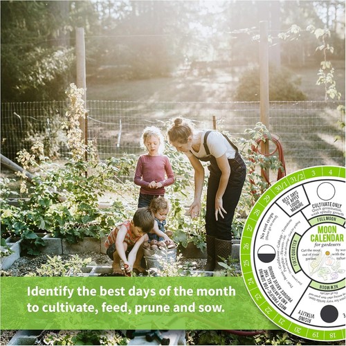 Lunar Cycle Gardening Calendar: A 365-Day Guide for Gardeners of All Levels - Picture 7 of 10