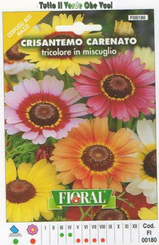 Semi Di Dalia Nano Doppia - Per Fioriere E Bouquet, Fioritura Estate-Autunno