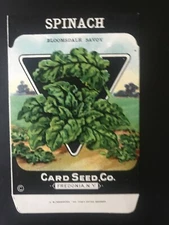 1920s  Litho Antique Vintage Card Seed Co Packet Pack Spinach Bloomingdale Savoy