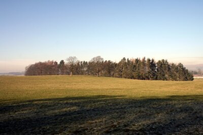 Photo 6x4 Halton West Old Close Plantation c2008