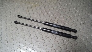 Haubendämpfer BMW 523i touring E39 12 Monate Garantie Sofortversand