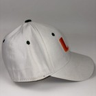 Picture 4 of 6