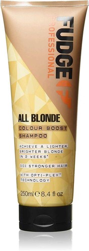 Fudge Professional All Blonde Shampoo & Conditioner (Choose Type) - Picture 4 of 5