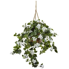 Bougainvillea 28-inch Hanging Basket