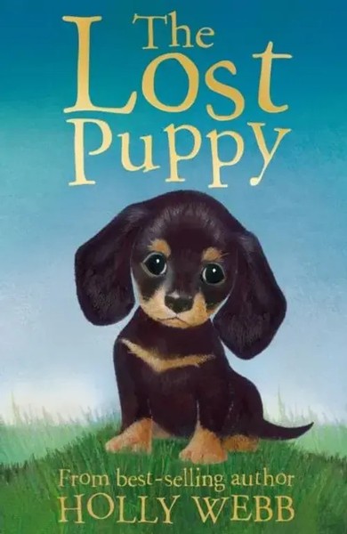 Holly Webb | The Lost Puppy | Taschenbuch | Englisch (2012) | EAN 9781847152244-image
