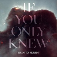 Blackwater Holylight - If You Only Knew - Vinyl Record Vl - G3Z
