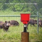 Bild 11 von 22
