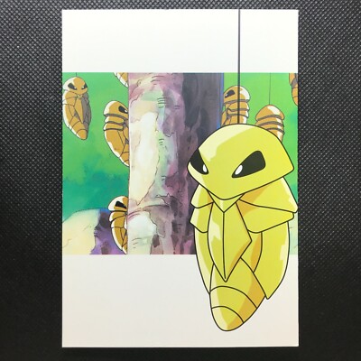 Kakuna Pokemon Postcard Japan Anime Very Rare Pocket monster Nintendo F/S 