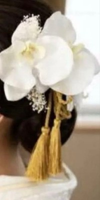 Phalaenopsis Orchid & Gold Mizuhiki Hair Ornament for Wedding/Coming-of-Age, Use