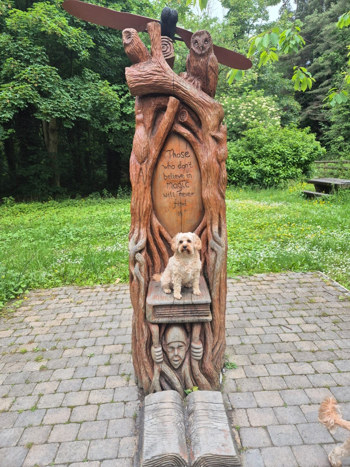 Bild 4 von 4