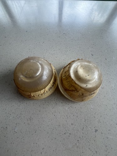 1949-1955 Ford Back Up Lights Lens Glass OEM Vintage Reverse Light Used