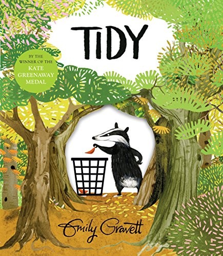 Tidy by Emily Gravett NEW BOOK