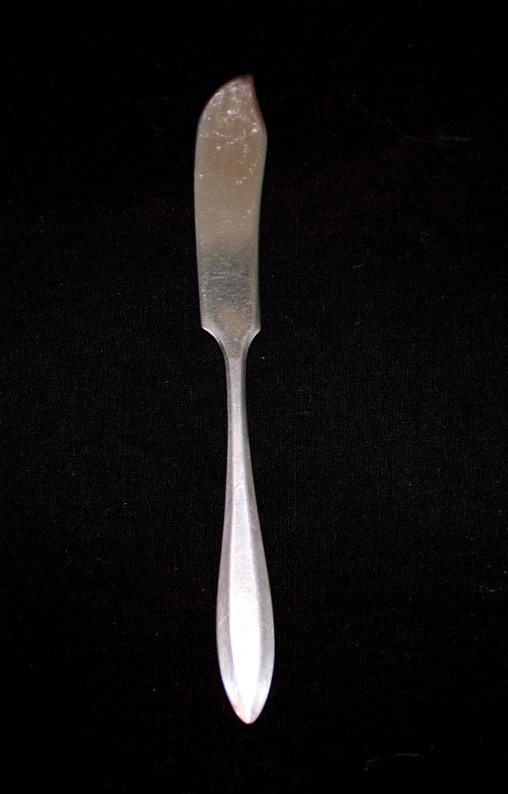 Picture 6 of 11