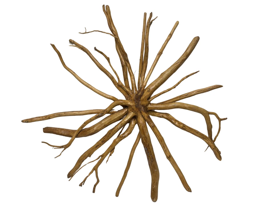 Маска ручной работы Medusa Teak Tree Spirit SUN GODDESS Face Crafted Teak Root Tiki 34 - Изображение 2 из 4