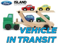 2019 Ford Transit Van Cargo MR RWD