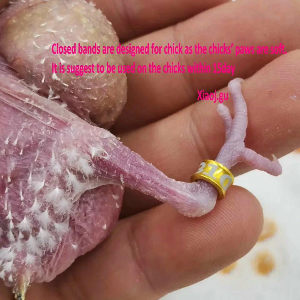 100PCS 2.6mm~8mm Personalized Aluminum Closed Bird Leg Bands - Laser engraved - Image 4 of 4