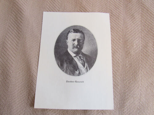 THEODORE ROOSVEVELT TG PRESIDENT PRINT -LOOKS LIKE LITHOGRAPH- NICE BUY IT NOW!! - Picture 3 of 3