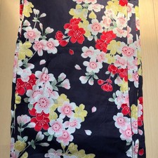 Yukata and obi
