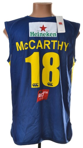NEU MIT ETIKETT CORK COUNTY CRICKET SHIRT TRIKOT GRÖSSE M ERWACHSENE MCCARTHY #18 - Bild 1 von 6