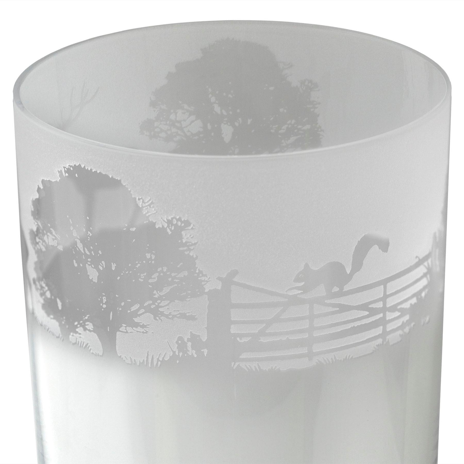 Engraved Animo Glass Highball Woodland Scene Hand Decorated Tumbler Gift Milford