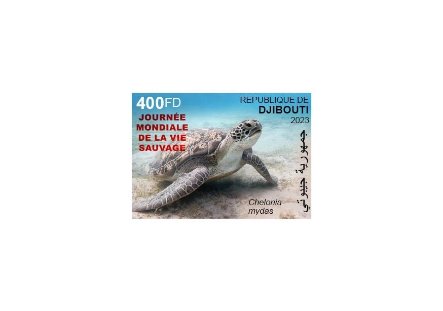 DJIBOUTI 2023 DELUXE PROOF (REG & OVPT) - TURTLES TORTUES TURTLE PANDEMIC - MNH - Photo 3/3