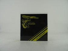 CAPTAIN PHOENIX LIFE. TEMPER. RIOT (313) 13 Track Promo CD Album including Pictu