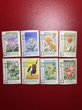 Russia USSR stamps 1960 Sc# 2408-2415 Flowers MNH OG. Complete set.