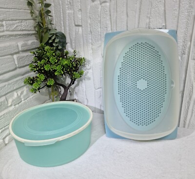 Vintage Tupperware 2-teiliges Set - runder Behälter & großer ovaler Aufschnittbehälter
