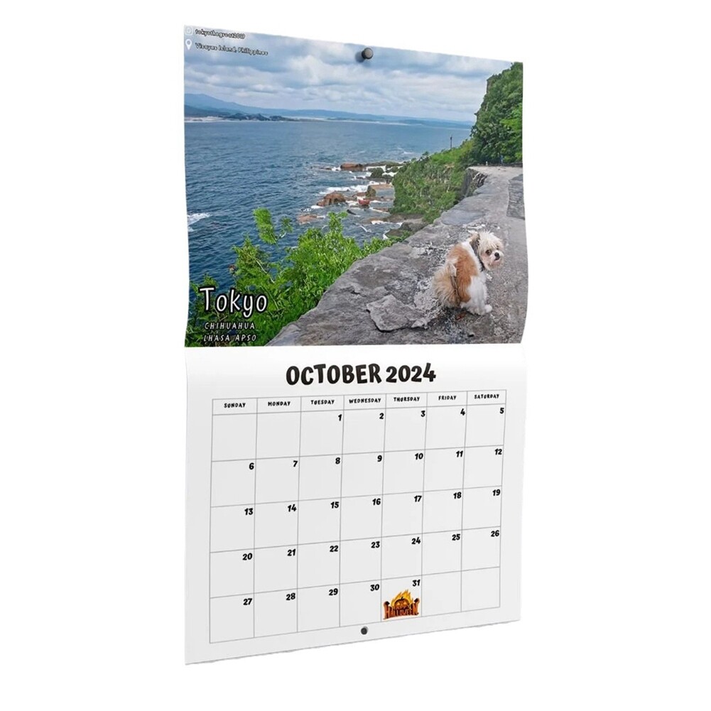 Dog Pooping in Beautiful Places 2024 Calendar (Pre-Order) - Funny Wall Art7563