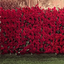 10x10ft Red Rose Floral Wall Photography Backdrop with Green Grass Floor