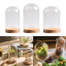 2 Pack Mini Glass Dome Display Stand Cork Base for DIY Decors and Collectibles