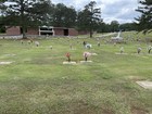 2 Grave Plots At Forestlawn Cemetery Golden Springs, AL — photo 5