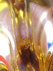 Bild 8 von 8