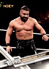 2017 Topps WWE #166 Andrade