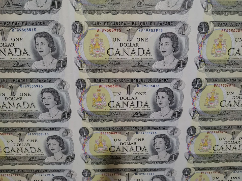 Hoja sin cortar de 40 billetes de dólar canadienses 1973.  MARCO A PRUEBA DE DECOLORACIÓN DE DOBLE CARA. Foto 3 de 4