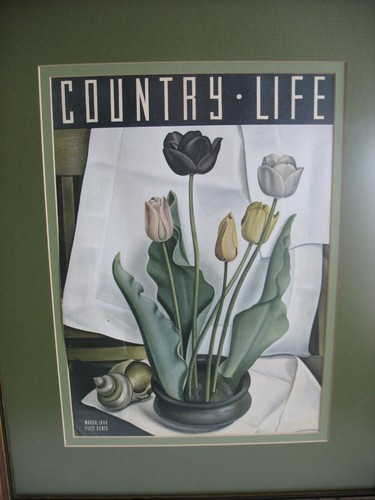 March 1933 COUNTRY LIFE British Edition magazine framed cover TULIPS Farmhouse - Picture 2 of 6