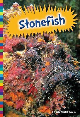 Stonefish by Raum, Elizabeth