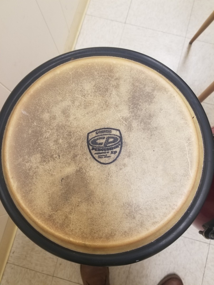 CP Cosmic Percussion コンガ Presented by LP USED LP COSMIC PERCUSSION CONGA | eBay