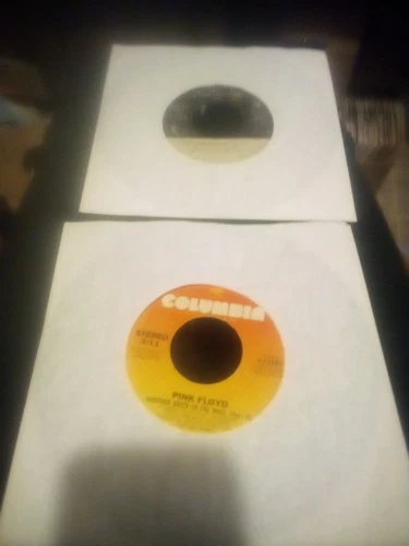 Pink Floyd  Vynil Lot Of 2