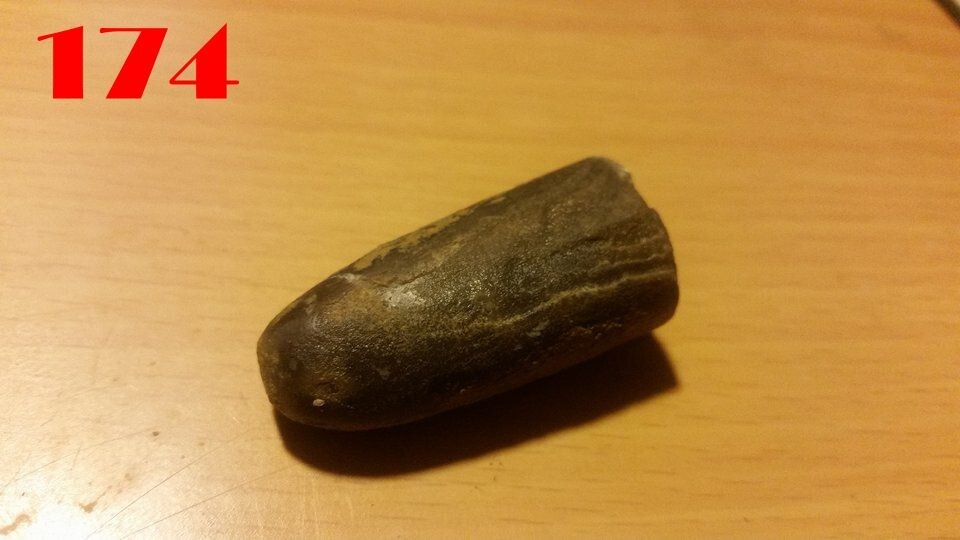 Bild 14 von 24