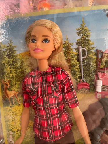 Mattel Barbie Camping Fun Campfire Barbie 2016 Nuovo con scatola - Foto 2 di 13