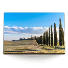 Quadro su tela 120x80 cm paesaggio toscano Italia alberi finca