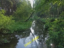 Photo 6x4 Early morning on the River Maun West Drayton/SK7074 Near the s c2012