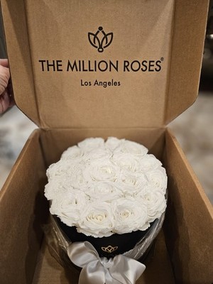 The Million Roses Los Angeles - 18 WHITE ROSES - PLEASE READ DESCRIPTION!